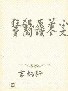 狂飙原著小说免费阅读全文无删减