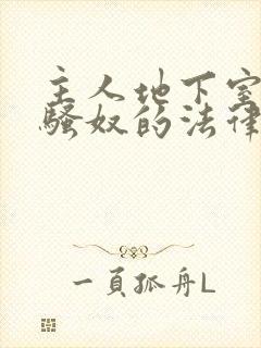 主人地下室惩罚骚奴的法律后果