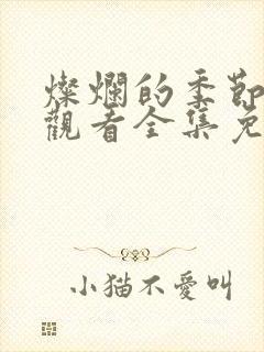 灿烂的季节在线观看全集免费播放