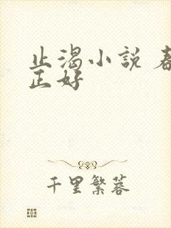 止渴小说 春光正好