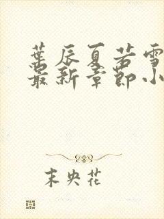 叶辰夏若雪孙怡最新章节小说下载