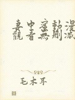 妻中蜜动漫在线观看无删减完整版封面