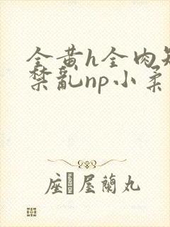 全黄h全肉短篇禁乱np小柔