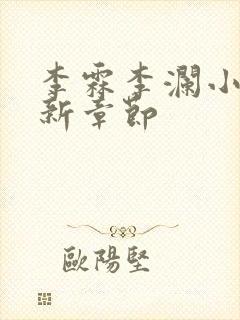 李霖李澜小说最新章节