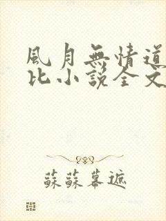 风月无情道比卡比小说全文免费阅读笔趣阁