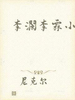 李澜李霖小说