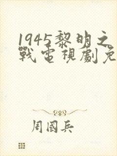 1945黎明之战电视剧免费观看封面