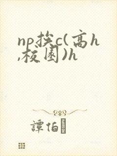 np挨c(高h,校园)h