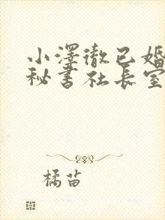 小泽彻已婚人妻秘书社长室