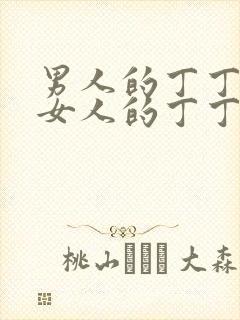 男人的丁丁插入女人的丁丁视频