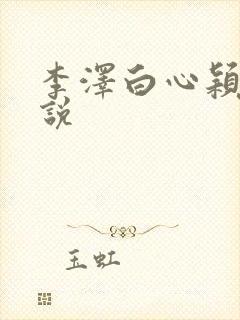 李泽白心颖的小说