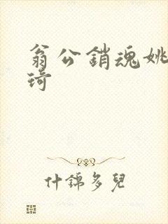 翁公销魂姚瑶琦琦封面