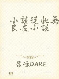 小说从此无心爱良夜小说