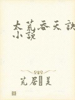 太荒吞天诀免费小说