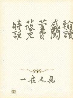 时莜萱盛翰钰小说免费阅读封面