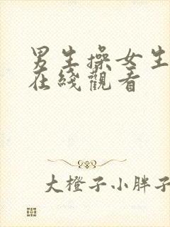 男生操女生视频在线观看封面