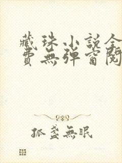 藏珠小说全文免费无弹窗阅读封面