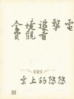 全境追击电影免费观看