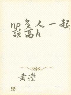 np多人一起小说高h