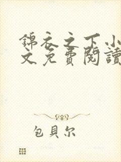 锦衣之下小说全文免费阅读无弹窗封面