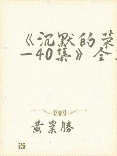 《沉默的荣耀1—40集》全集免费观看