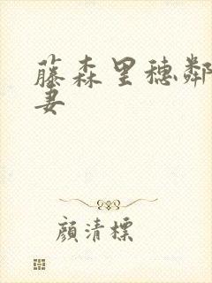 藤森里穗邻居人妻封面