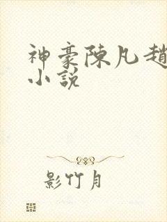 神豪陈凡赵琳琳小说
