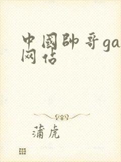 中国帅哥gay网站