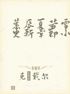 叶辰夏若雪最新更新章节小说