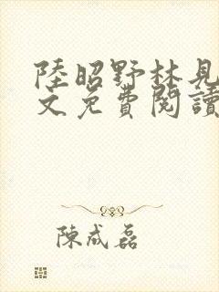 陆昭野林见疏全文免费阅读封面
