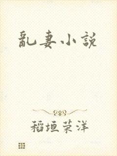 乱妻小说封面