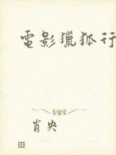 电影猎狐行动封面