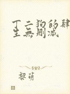 丁二狗的肆意人生无删减封面