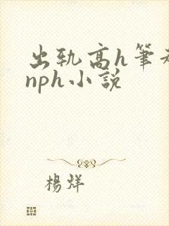 出轨高h笔趣阁nph小说