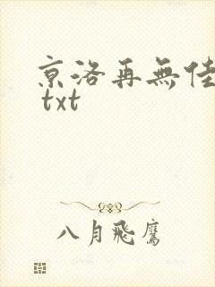 京洛再无佳人2 txt
