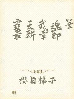 霸天武魂笔趣阁最新章节封面