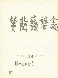 林北苏婉全文免费阅读笔趣阁