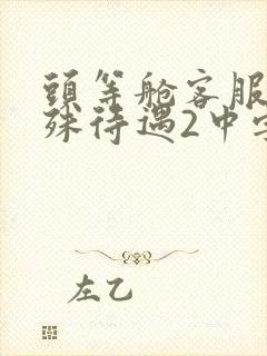 头等舱客服的特殊待遇2中字