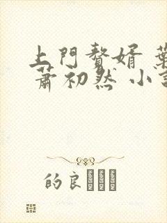 上门赘婿 叶辰 萧初然 小说