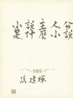 小说主人公叶凡是什么小说