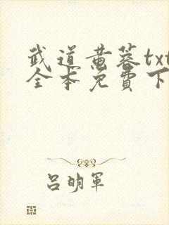 武道黄蓉txt全本免费下载