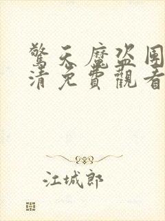 惊天魔盗团3高清免费观看