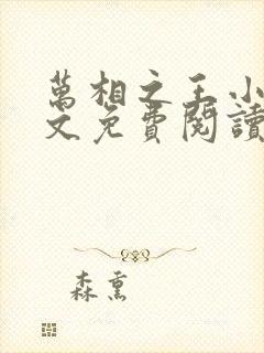 万相之王小说全文免费阅读无弹窗