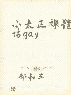 小太正裸体黄网站gay