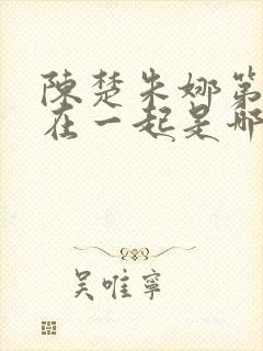 陈楚朱娜第一次在一起是哪章