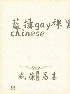 蓝摄gay裸男chinese封面