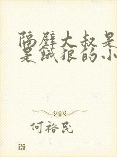 隔壁大叔是机长是饿狼的小说封面