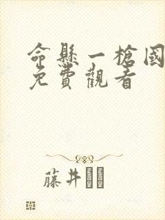 命悬一枪国语版免费观看