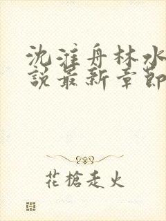 沈淮舟林水伊小说最新章节更新内容