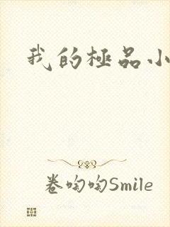 我的极品小姨封面